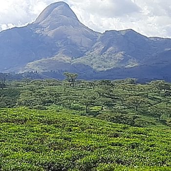 Na província da Zambézia está situada a serra do Namúli que, com 2419 metros de altura, é o segundo ponto mais alto de Moçambique. A Zambézia tem uma superfície de 103 127 km2 e uma população de 3 780 000 habitantes (2004), cerca de vinte por cento do povo de Moçambique. As etnias mais representadas são as Chuabo e Macua,